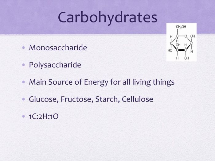 Macromolecules card sort answer key