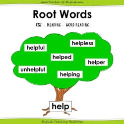 Words with the root word anim