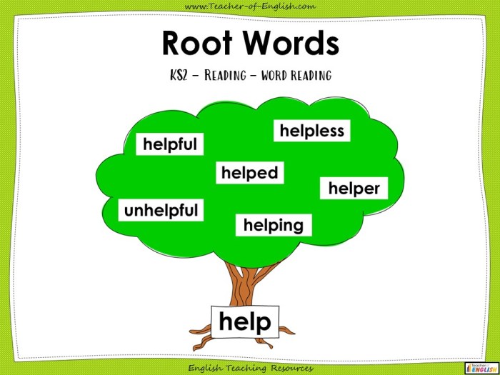 Words with the root word anim