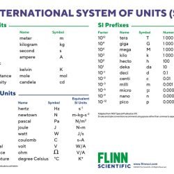 Biology prefixes and suffixes worksheet