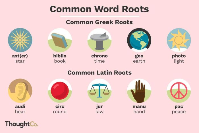 Words with the root word anim