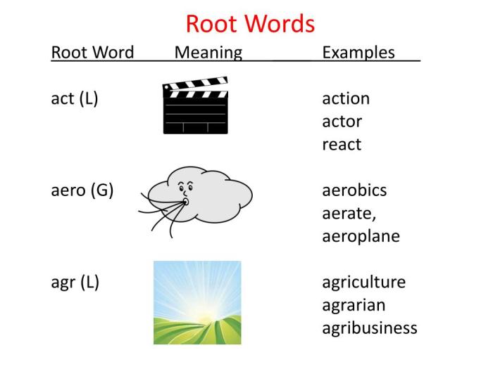 Words with the root word anim